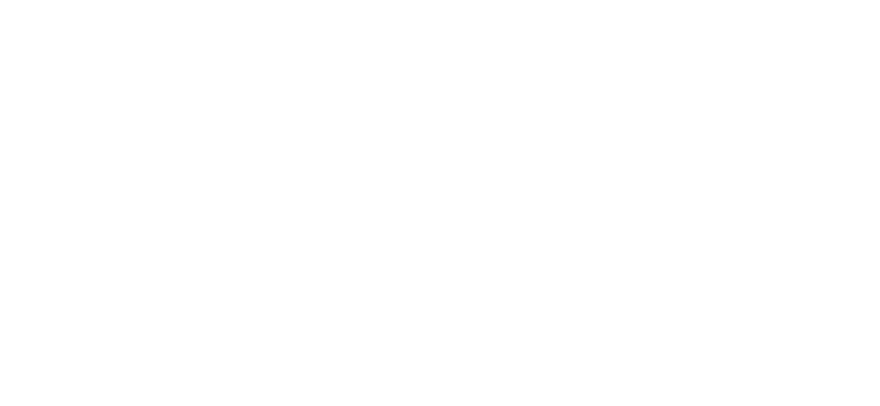 SOLAS logo